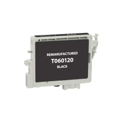 EPSON T060120 Black Inkjet Cartridge
